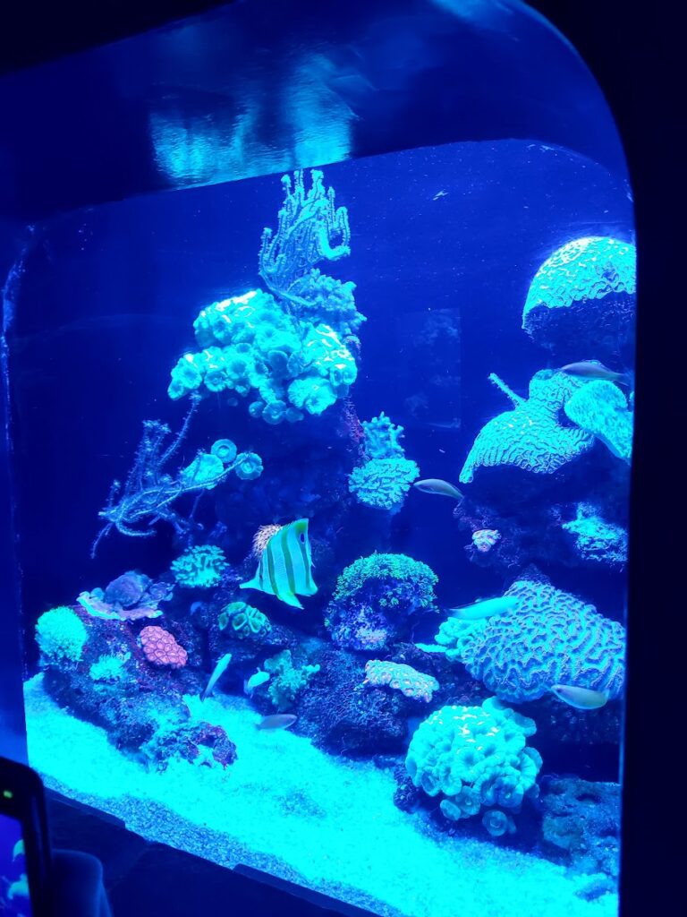 Palma Aquarium Mallorca