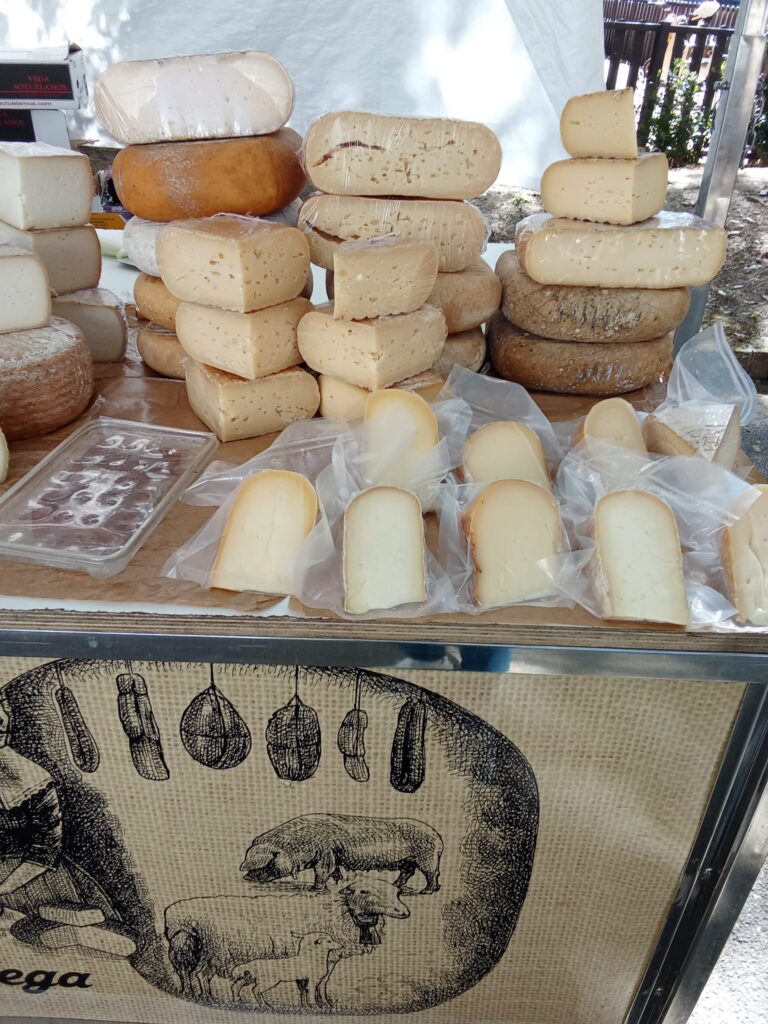 Display of traditional Mallorcan cheeses at the weekly market in Manacor, Mallorca, featuring artisanal goat, sheep, and cow milk varieties.