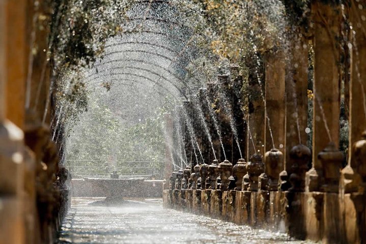 Entradas Jardines de Alfabia