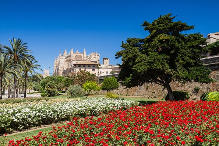 Visit Palma and Valldemossa
