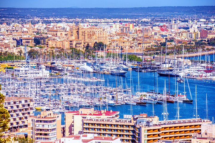 Tour y búsqueda del tesoro autoguiados por Palma de Mallorca