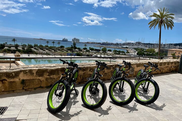 Exclusive Fat Tire E-Bike Tour in Palma