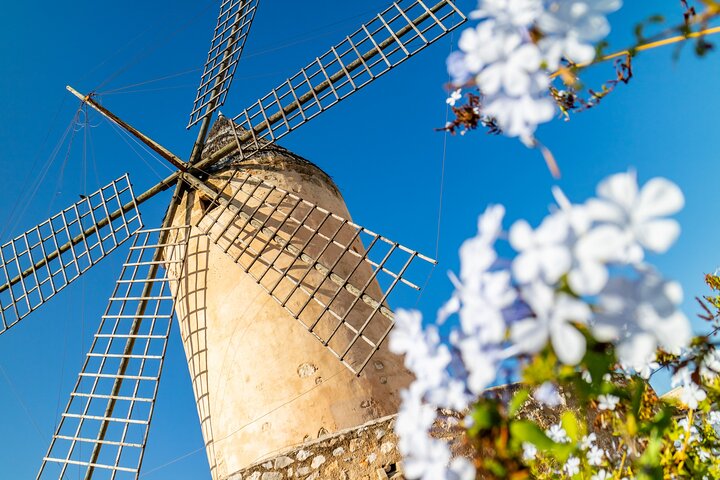Deluxe Palma De Mallorca Tour für Kreuzfahrtpassagiere