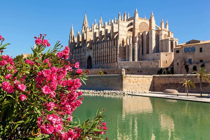 Bonjour Palma : Private 2 - Heure Intro City Walk avec Guide Local