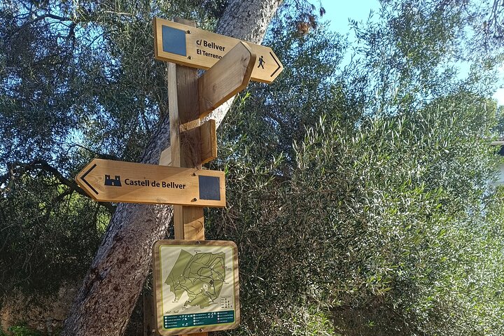 Palma Wald und Altstadt E-Bike-Tour und Schloss Bellver Wanderung