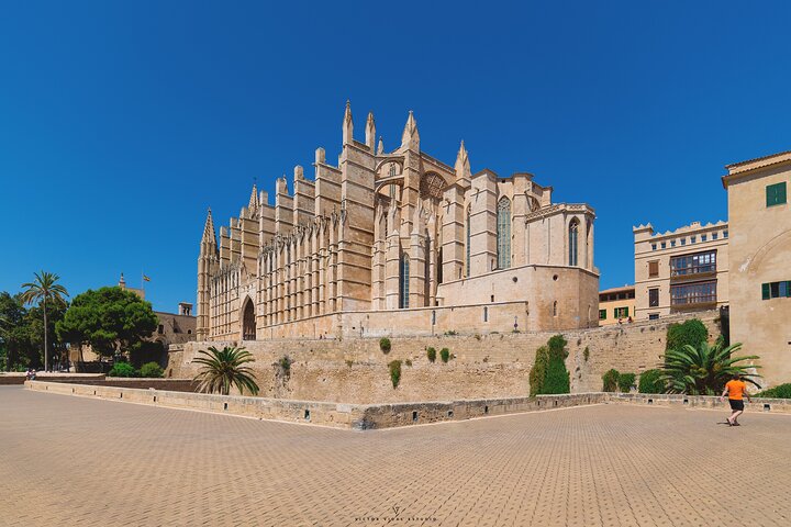 Entrada sin colas a la Catedral de Mallorca