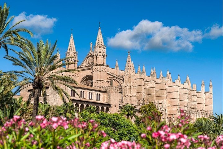 Tour de Palma de Mallorca Visita a la Catedral y al Mercado del Casco Antiguo