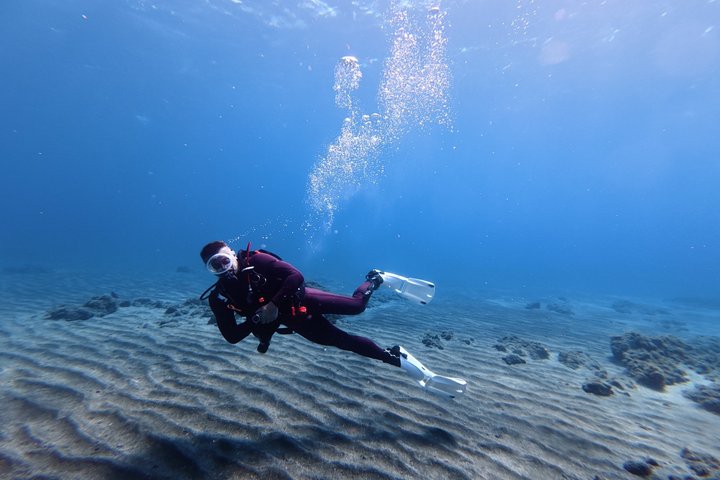 Buceo privado para principiantes con colección y fotos