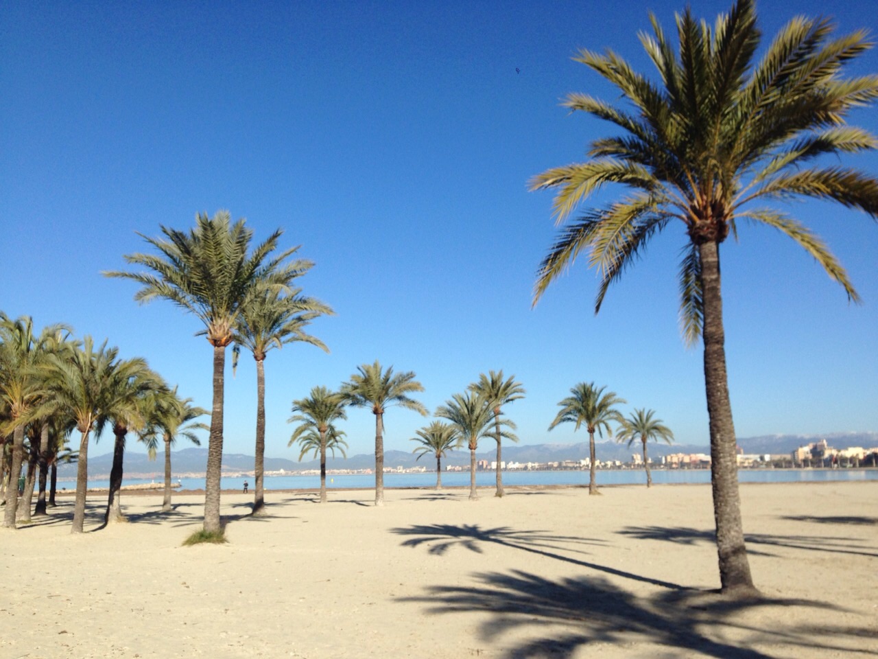 BednDesk | BND Mallorca Coliving, El Arenal | S'Arenal, Mallorca, photo