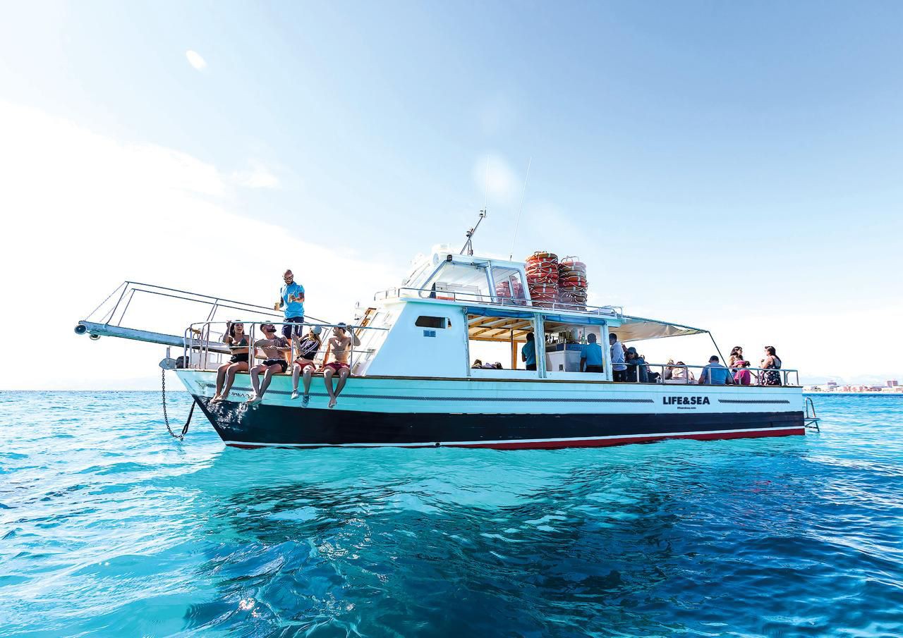 Best Boat Tour Mallorca Palma Boat Tour Playa de Palma Mallorca