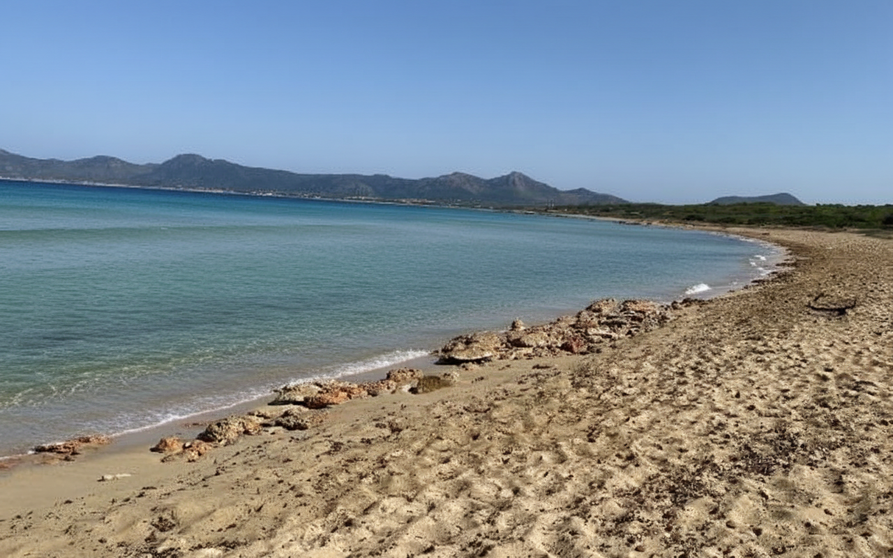Cala de ses Assussenes, beach, Mallorca, photo