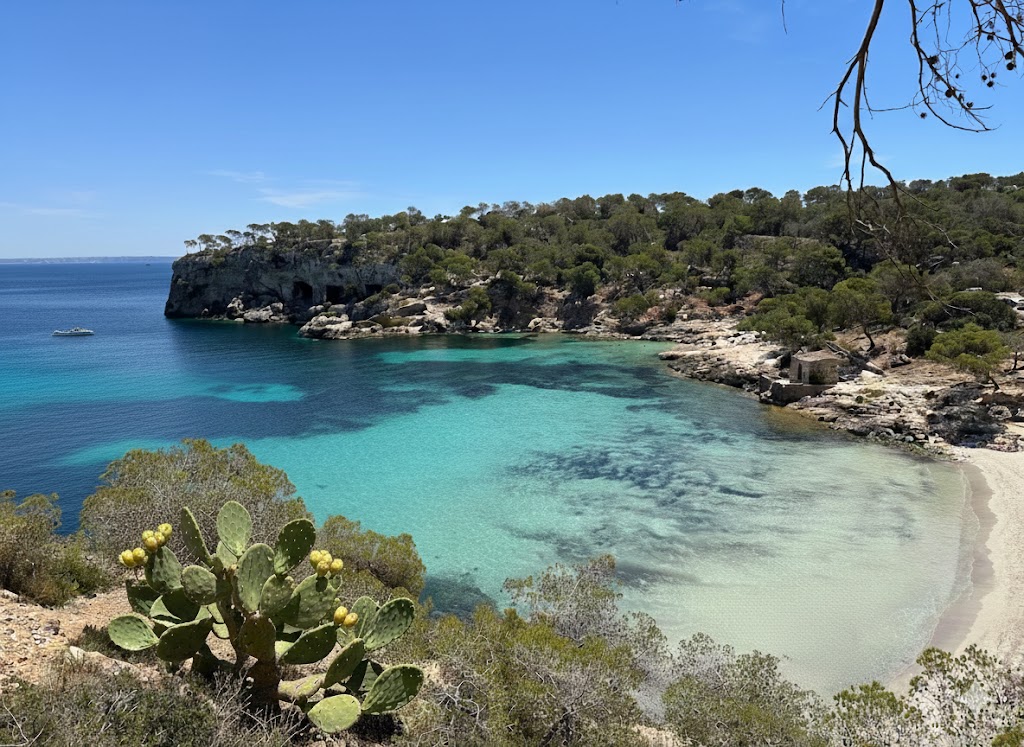 Cala Portals Vells, beach, Mallorca, photo