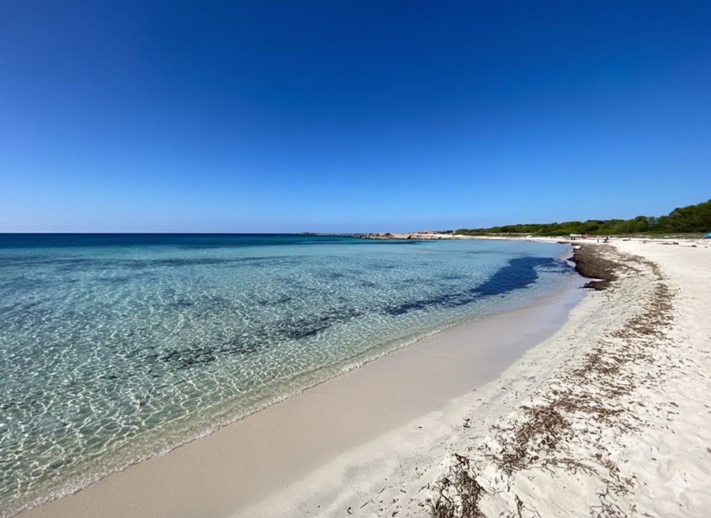 Es Caragol, beach, Mallorca, photo