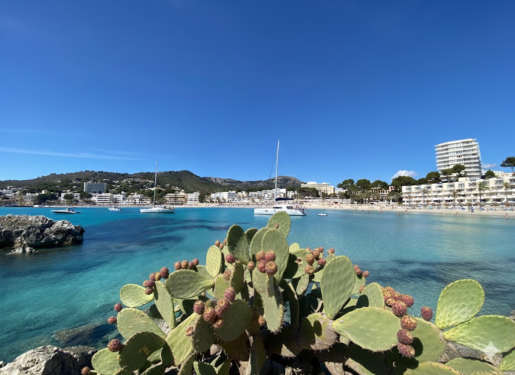Platja de Peguera-Palmira, beach, Mallorca, photo
