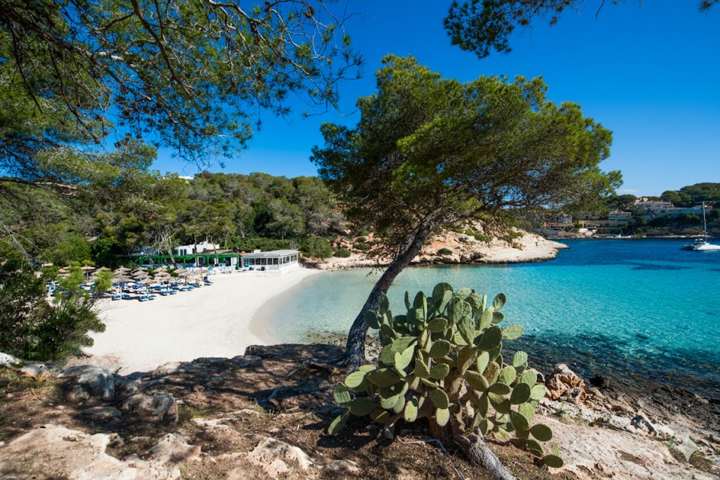 Portals Vells, beach, Mallorca, photo