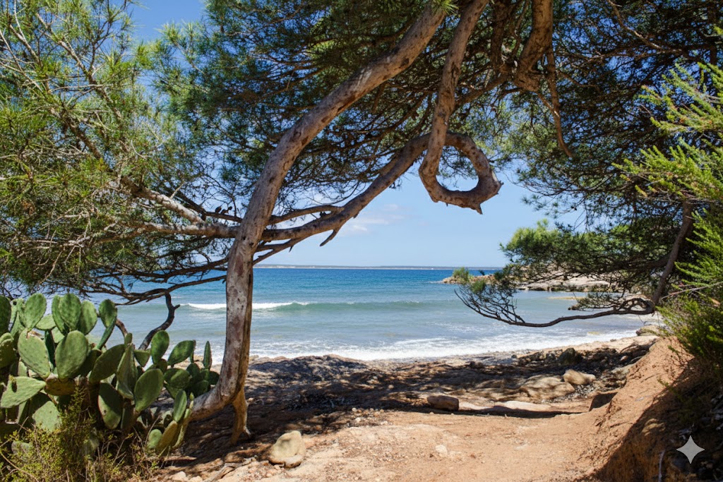S'Estanyol, beach, Mallorca, photo