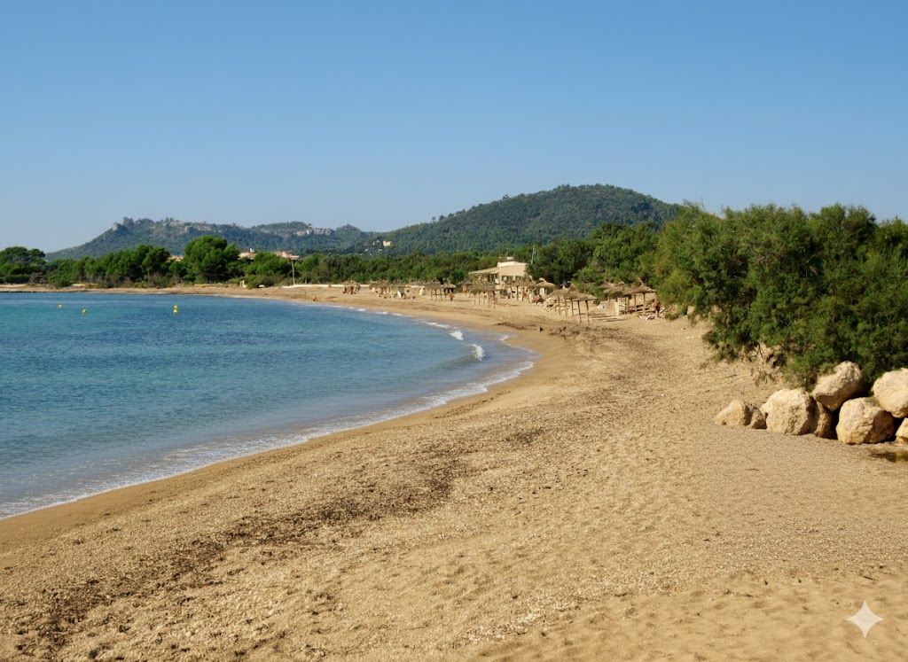 Sa Marjal, beach, Mallorca, photo