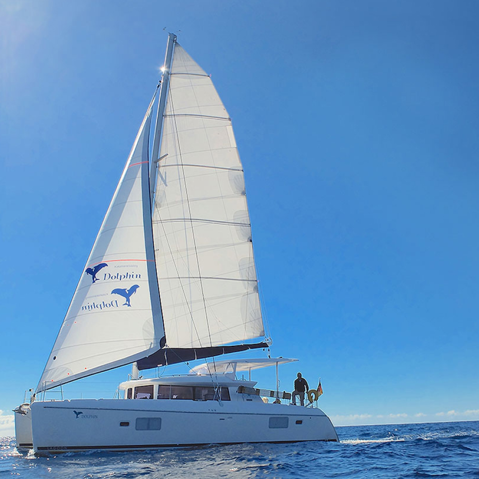 Sail4fun Catamaran, Activities & Sightseeing, Palma de Mallorca, photo 1, Sail4fun Catamaran Palma de Mallorca