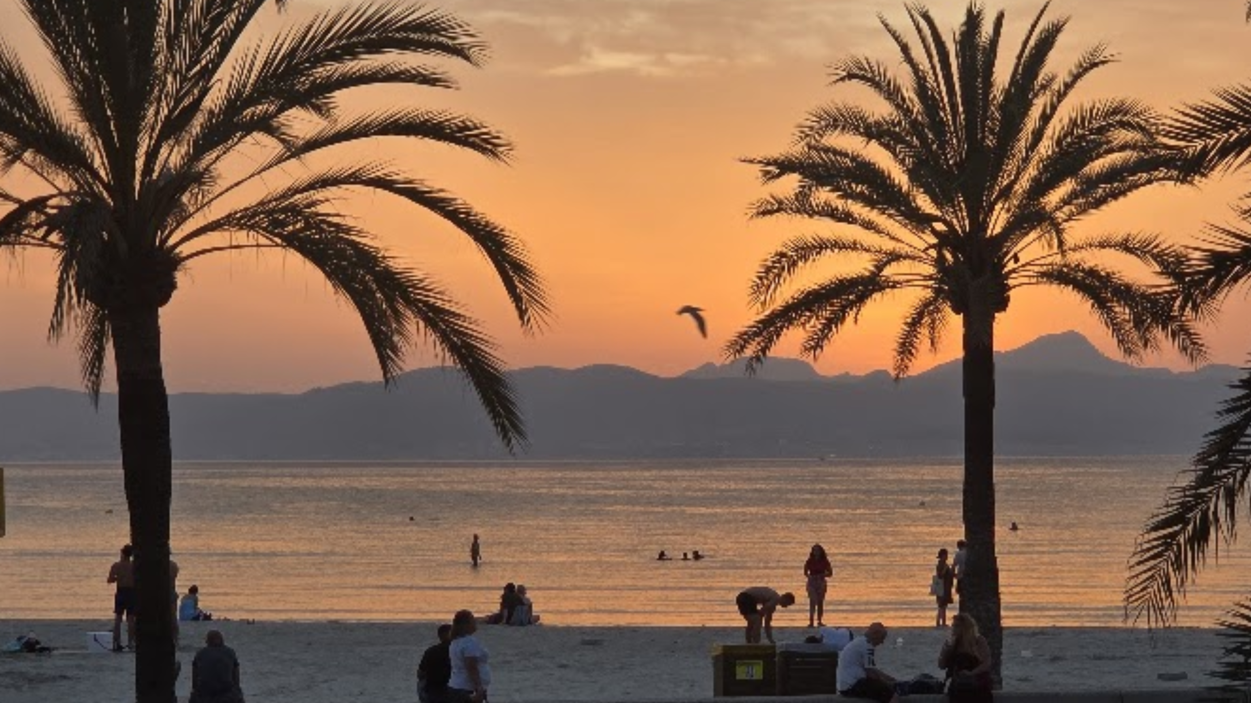 Where to Watch the Sunset in Mallorca: Top Spots for Stunning Mediterranean Views, Tipps & Tricks, photo