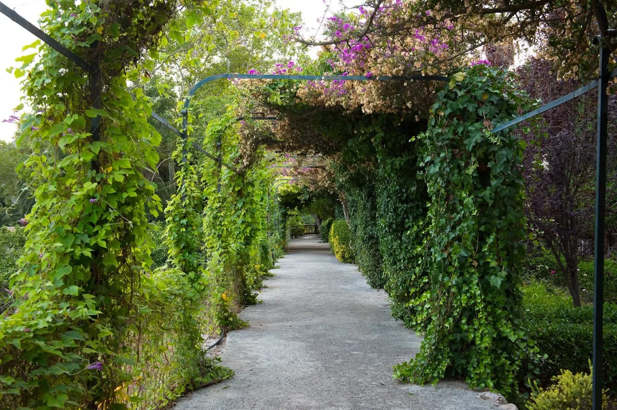 Jardines de Alfabia Mallorca, Activities & Sightseeing, Bunyola, Mallorca