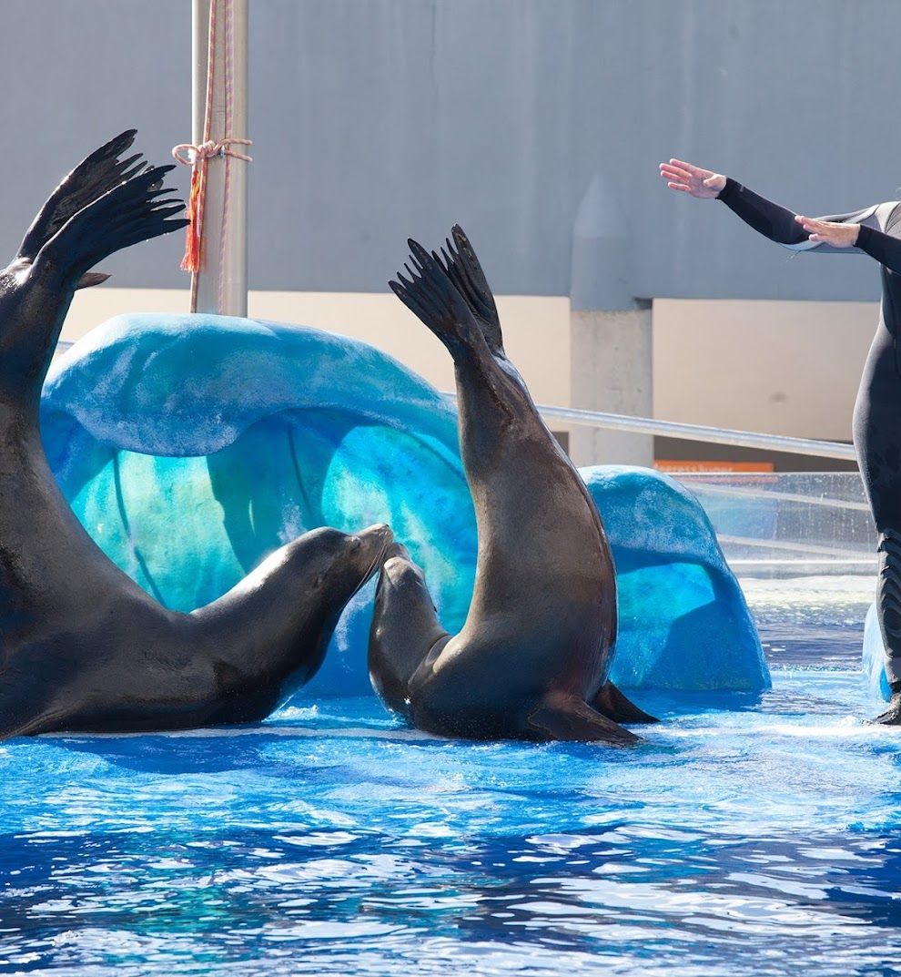 Marineland Mallorca, Activities & Sightseeing, Costa d’en Blanes, Mallorca