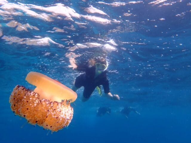 Adventure Tours Mallorca S.L., Activities & Sightseeing, Palma de Mallorca