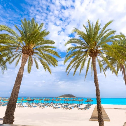 INN Mallorca Aparthotel, Accommodation, -5% deal, promo code MALLORCARD, Magaluf, Mallorca