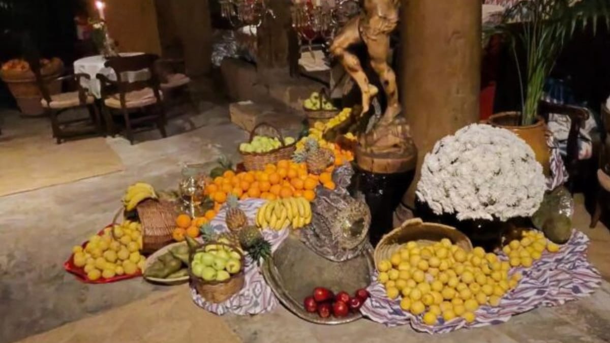 Bar Ábaco in Palma de Mallorca – An Experience Like No Other, Food & Drink