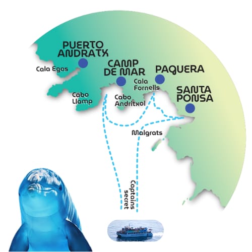 Cruise Cormoran Cruceros Cormoran, Activities & Sightseeing, El Toro, Mallorca