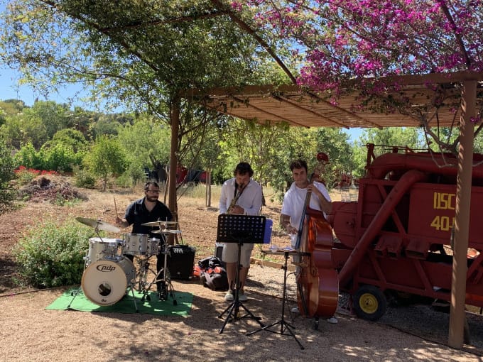 Avenida Tours Mallorca, Activities & Sightseeing, Palma de Mallorca