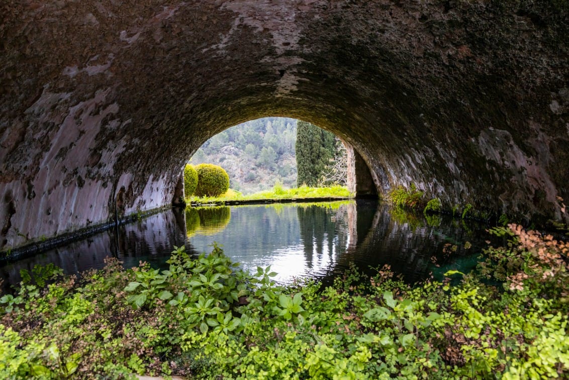 Jardines de Alfabia Mallorca, Activities & Sightseeing, -5% deal, promo code Mallorcard Link, Bunyola, Mallorca