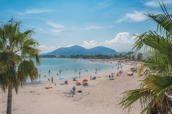 Alcúdia, Compare car rental prices in Mallorca. Find the best deals on vehicles across the island and book your perfect ride with MallorCard.