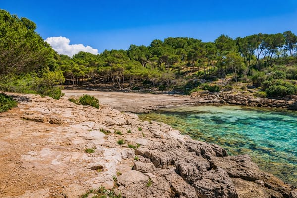 Barca Trencada, Compare car rental prices in Mallorca. Find the best deals on vehicles across the island and book your perfect ride with MallorCard.