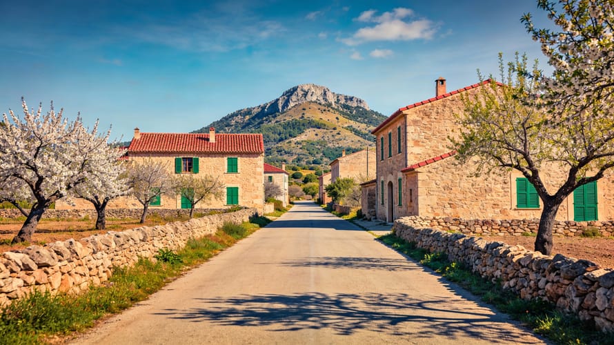 Baix des Puig