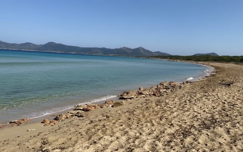Cala de ses Assussenes