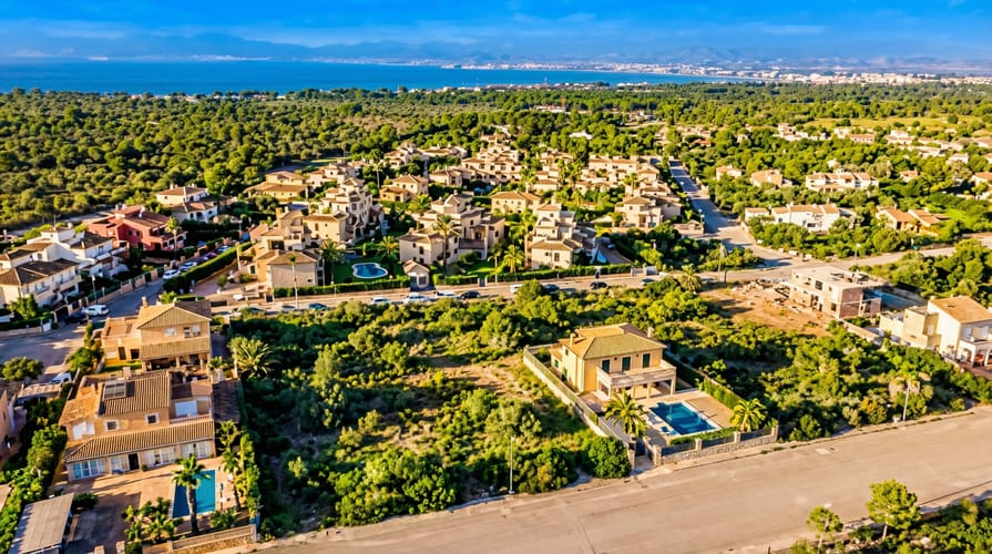 Las Palmeras