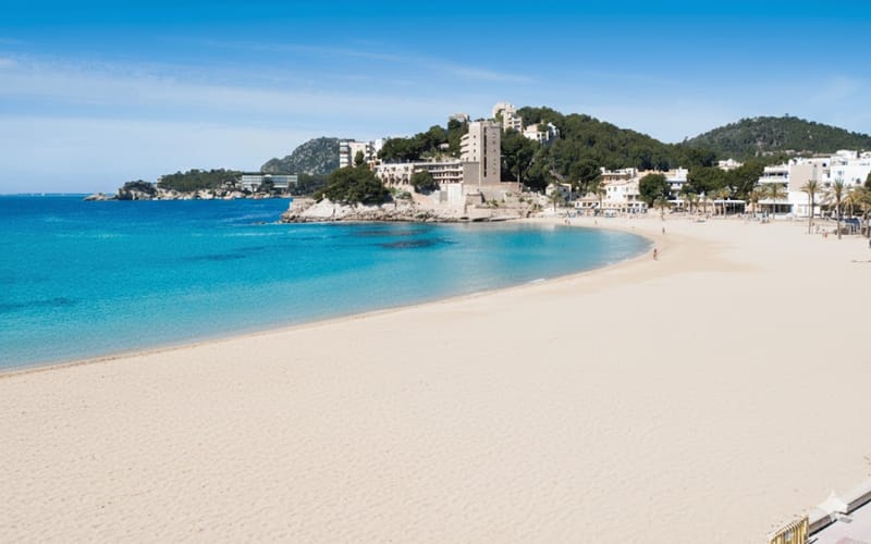 Playa Palmira