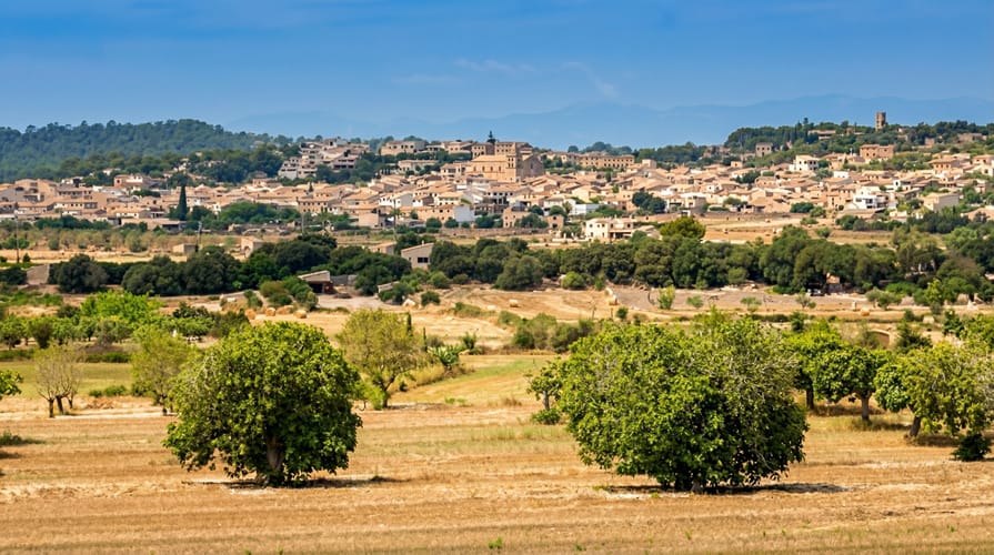 Sant Joan