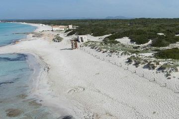 Mallorca Es Trenc stranddagtour met hotelovername, water-activities, Es Trenc · Campos, Mallorca, photo 3