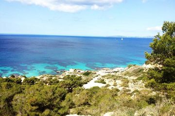Mallorca: Snorkeling in a Beautiful Nature Reserve, water-activities, photo 2