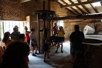 Mallorca: 5-hours Hidden Marvels Tour, water-activities, Peguera · Calvià, Mallorca, photo 1