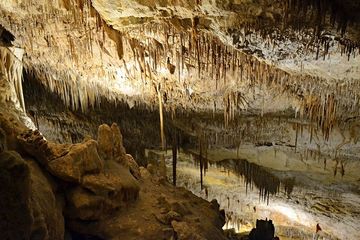 Full day tour to the Caves of Drach and Caves of Hams in Mallorca, water-activities, Palma de Mallorca · Montuïri, photo 3
