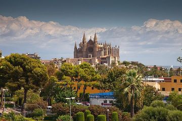 Private 4-hour tour of Palma de Mallorca with driver and guide, water-activities, Sóller, Mallorca, photo 4