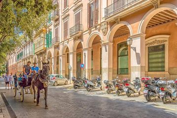 Excursão a pé privada em Palma de Maiorca com guia turístico, water-activities, Palma de Mallorca · Palma, photo 3