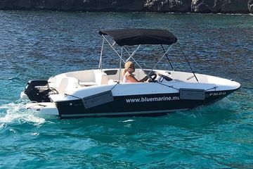 Bluemarine.me führerscheinfreier Bayliner Element E5 mieten, water-activities, Cala Fornells · Calvià, Mallorca, photo 1