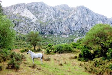 Hiking Private Tour in Pollensa, outdoor-adventure, Pollensa · Pollença, Mallorca, photo 2