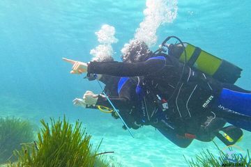 Mallorca PRIVATE Reservation*Scuba dive + photo/video, water-activities, photo 1