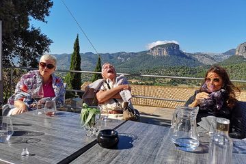 Discover the varieties of Mallorca wine,experience the real taste, water-activities, Santa Maria del Cami · Santa Maria del Camí, Mallorca, photo 1