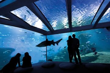 Ticket Palma Aquarium, water-activities, Palma de Mallorca · Palma, photo 3