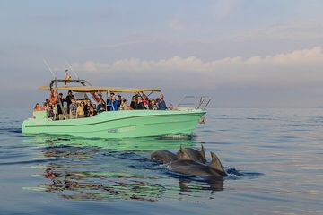 Dolphin watching by boat, water-activities, Cap de Formentor · Pollença, Mallorca, photo 1